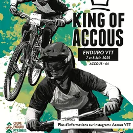 Championnat enduro VTT