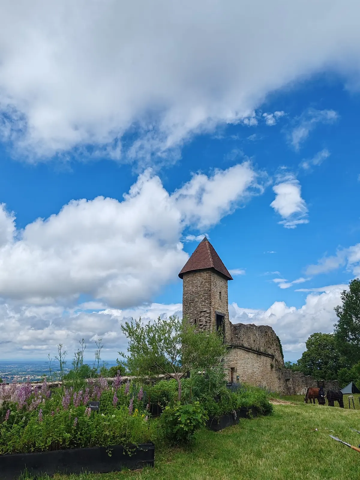 Chantier de bénévoles au Château de Chevreaux