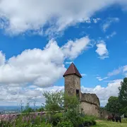 Chantier de bénévoles au Château de Chevreaux