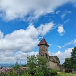 Chantier de bénévoles au Château de Chevreaux