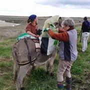 Chantier de nettoyage havre de Surville