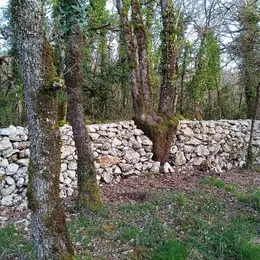 Chantier muret en pierres sèches
