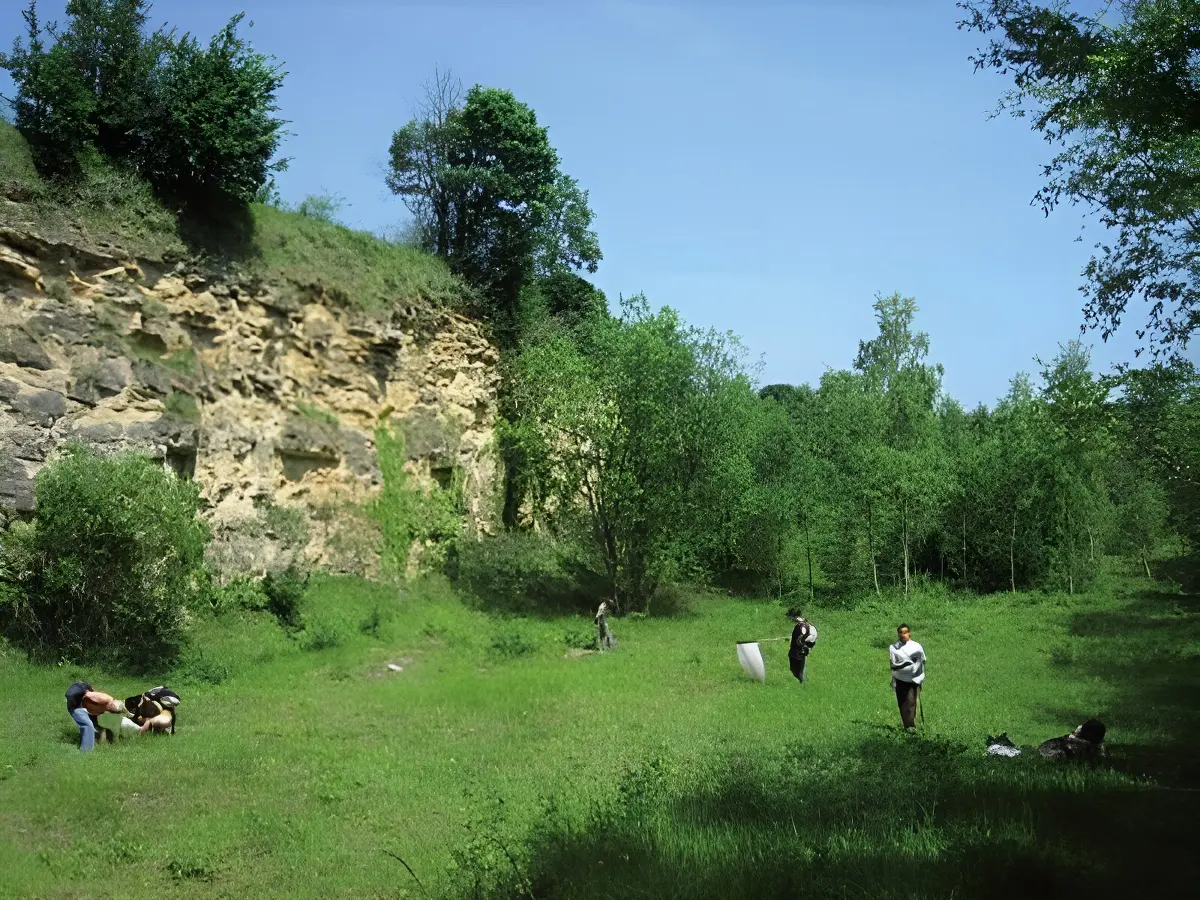 Chantier nature à la réserve naturelle régionale