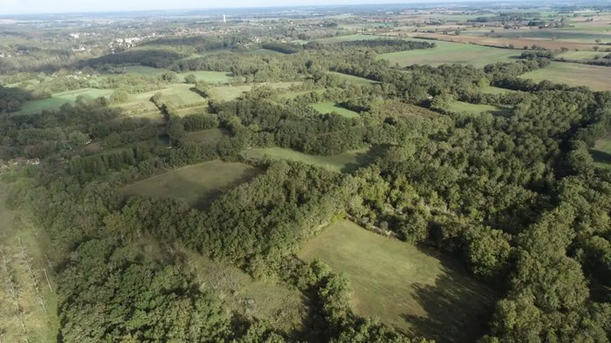 Chantier nature : Bocage de Boisdichon