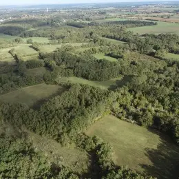 Chantier nature : Bocage de Boisdichon