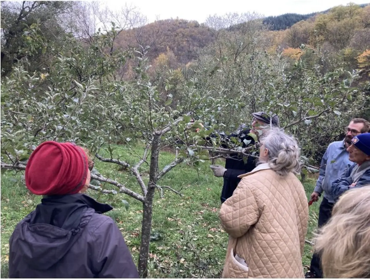 Chantier Participatif A Castanet