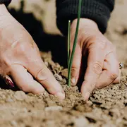 Chantier participatif à l'Oasis des 1001 feuilles