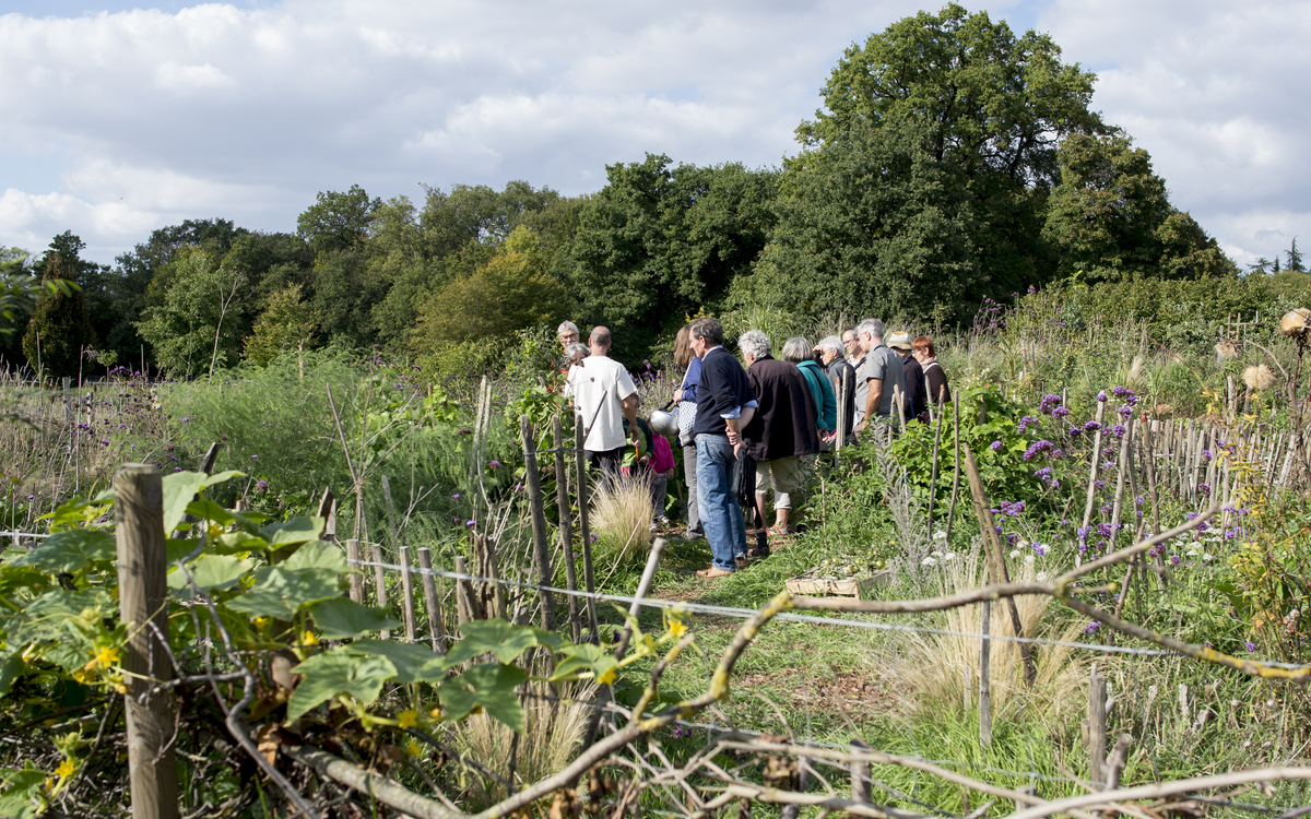 Chantier participatif à la Ferme de Paris