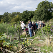 Chantier participatif à la Ferme de Paris
