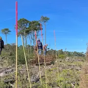 Chantier participatif : Agir pour l’entretien de la forêt du Pignada