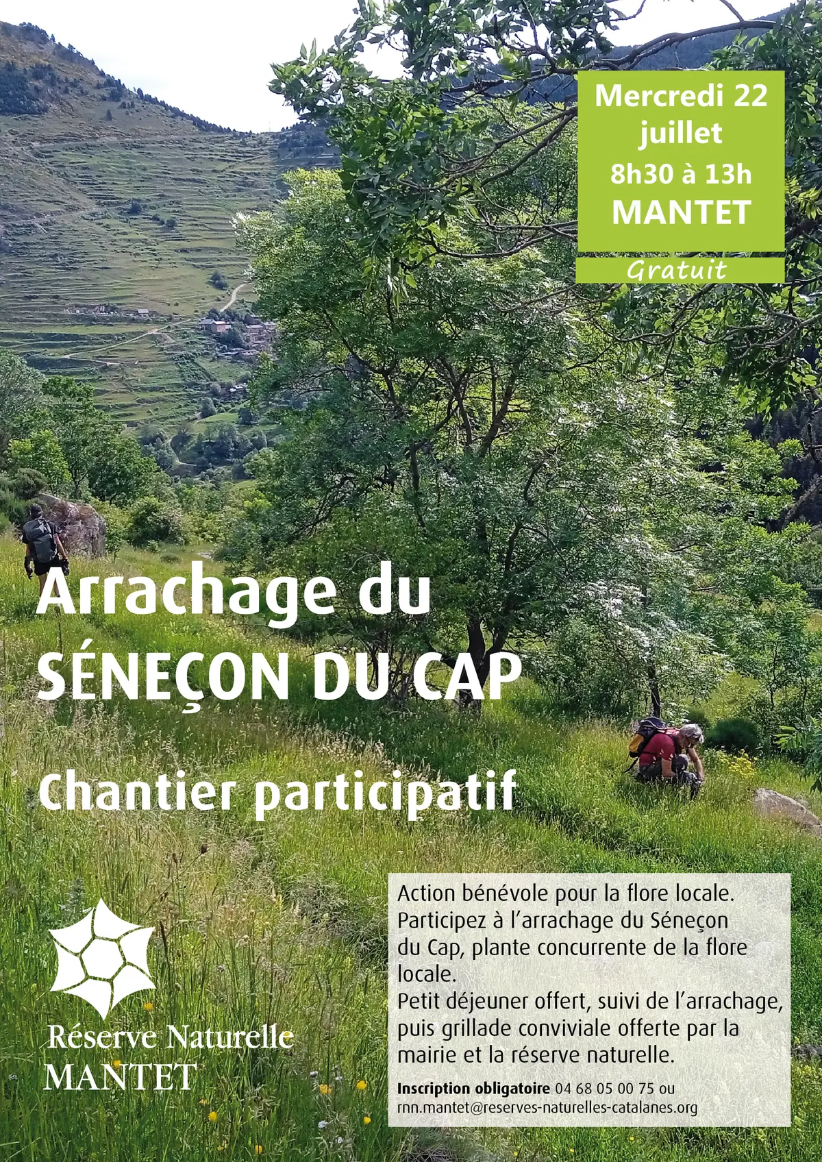 Chantier Participatif : Arrachage Du Séneçon Du Cap