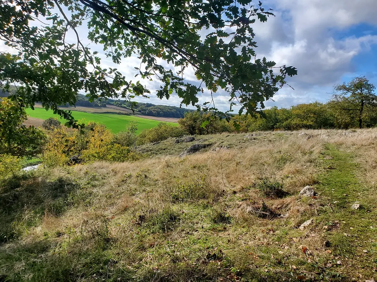 Chantier participatif au coeur de la réserve naturelle