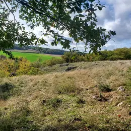Chantier participatif au coeur de la réserve naturelle