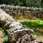 Chantier participatif avec l'Association Patrimoine de nos enfants