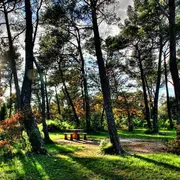 Chantier participatif : plantation d'arbres