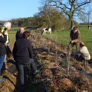 Chantier participatif - plantation de haie