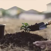 Chantier participatif : plantation des modelés dunaires du parvis de la Maison de l’Environnement