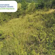 Chantier participatif sur la pelouse de rizes