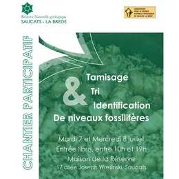 Chantier Participatif : Tamisage, tri et identification de fossiles