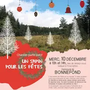 Chantier participatif : un sapin pour les fêtes
