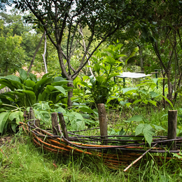 Chantier permaculture