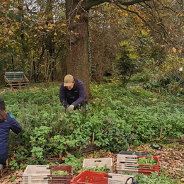 Chantier permaculture