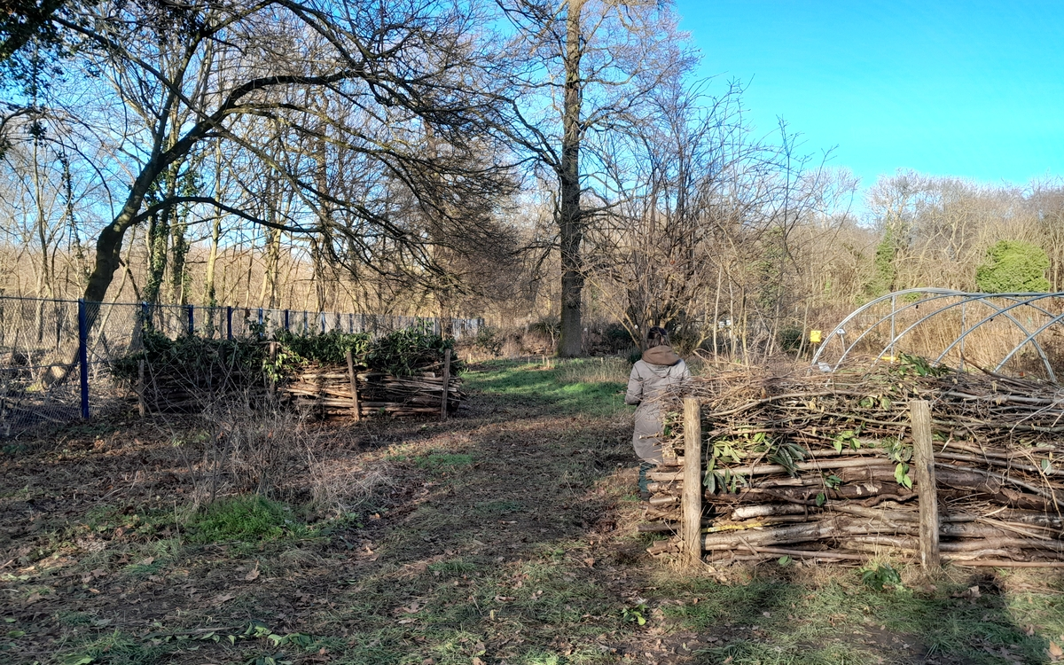 Chantier permaculture