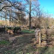 Chantier permaculture