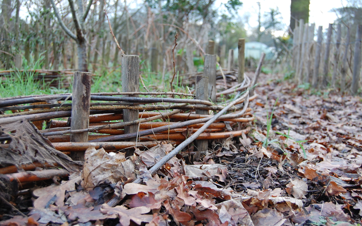 Chantier permaculture