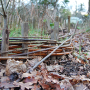 Chantier permaculture