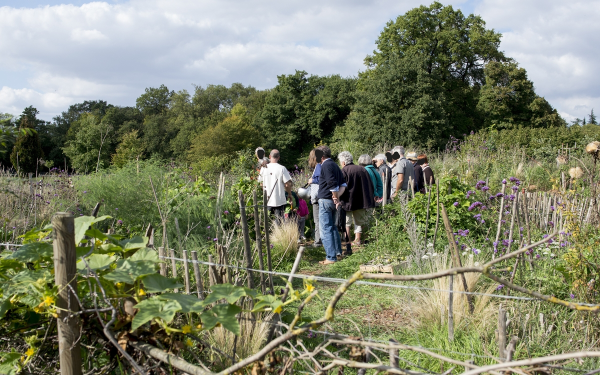 Chantier permaculture