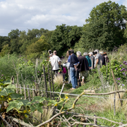 Chantier permaculture