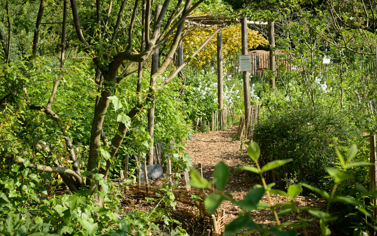 Chantier permaculture