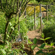 Chantier permaculture