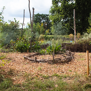 Chantier permaculture