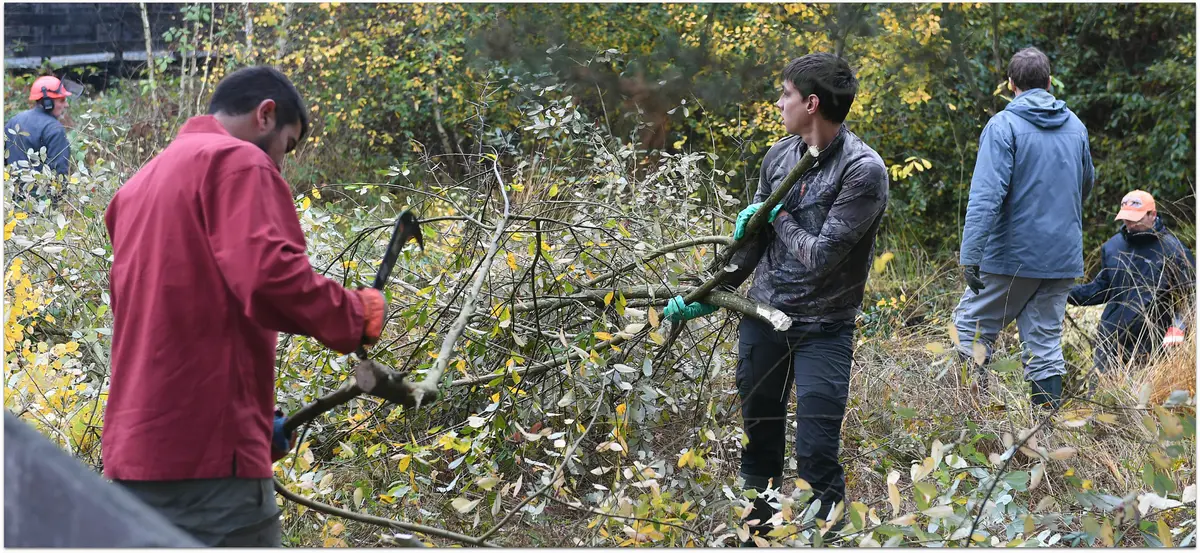 Chantiers d'automne à l'étang de Beaumont