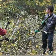 Chantiers d'automne à l'étang de Beaumont