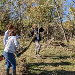 Chantiers d'automne aux Prairies du Fouzon