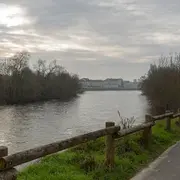 chants d'oiseaux des bords de Vienne