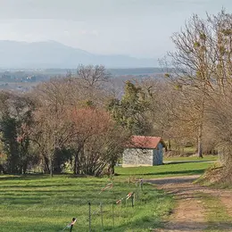 Le circuit du Haulenwald : sur les traces de la Première guerre mondiale
