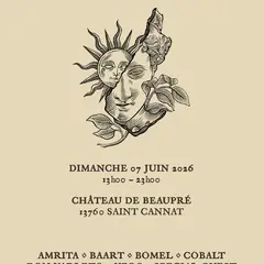 Chapter III - « Vineyard Treasures »