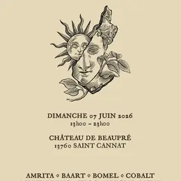 Chapter III - « Vineyard Treasures »
