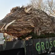 Strasbourg : 7 idées sorties sympa pour ce week-end (27 février au 1 mars 2026)