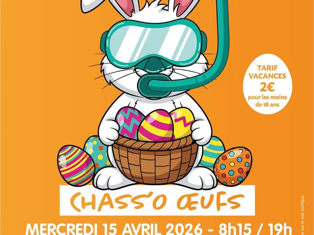 Chass'O oeufs - Ovive