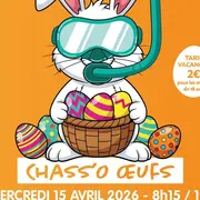 Chass'O oeufs - Ovive