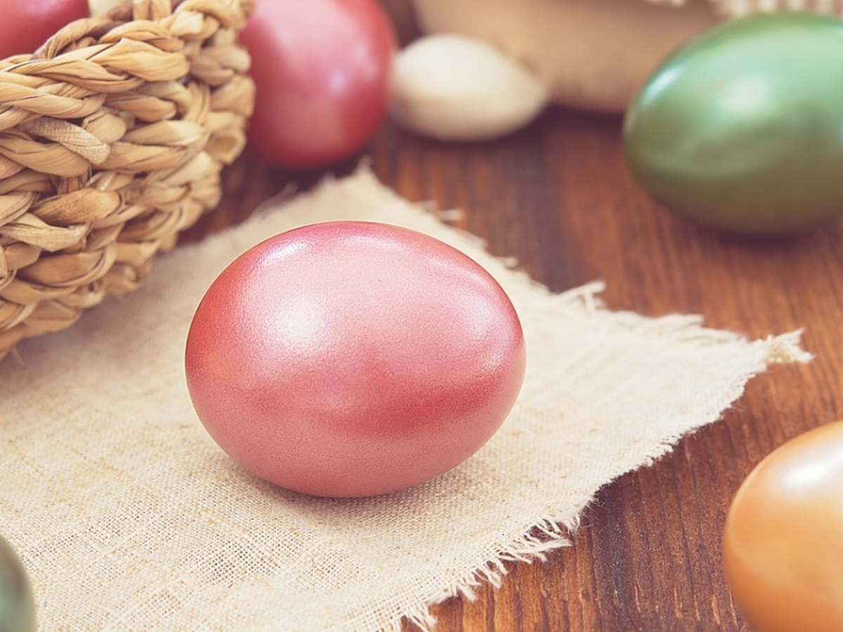 Chasse à l'oeuf à Landiras