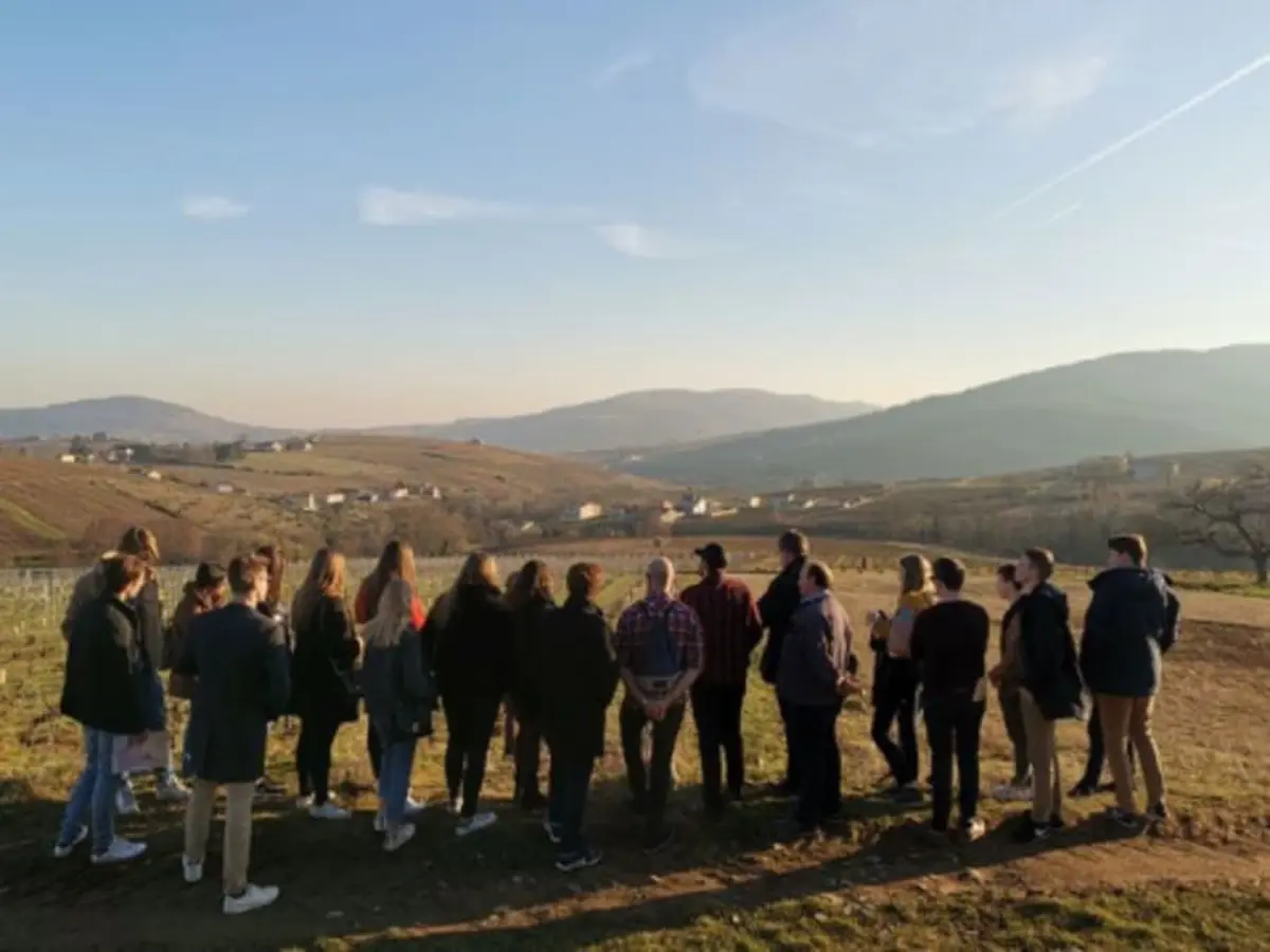 Chasse au trésor dans les vignes à Lantignié (69)