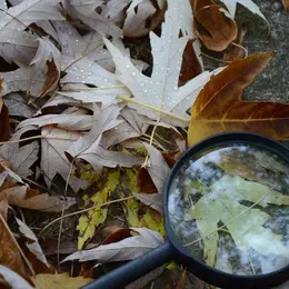 Chasse au trésor dans les vignes au Domaine Sauvète
