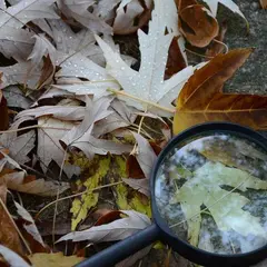 Chasse au trésor dans les vignes au Domaine Sauvète