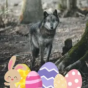 Chasse au trésor spéciale Pâques